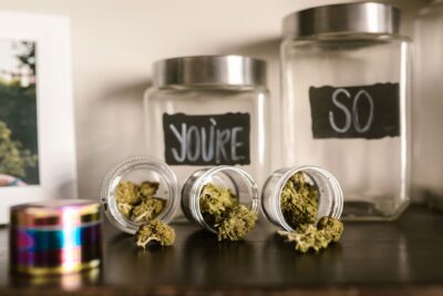 CBD : une série de rappels en octobre, des fleurs trop chargées en THC aux huiles pour animaux
